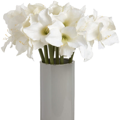 Classic White Amaryllis Flower (7 stems)