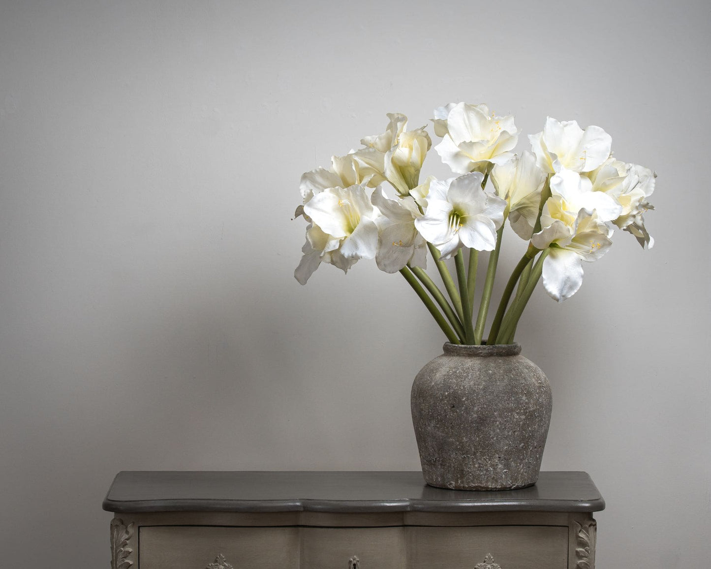 Classic White Amaryllis Flower (7 stems)