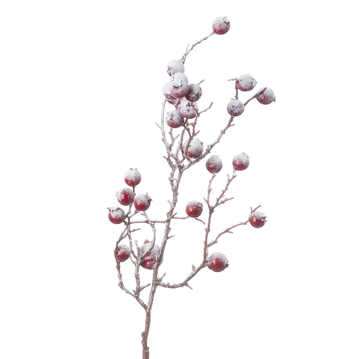 Large Red Festive Berry x 1